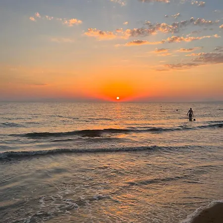 Dora's House Douneika *